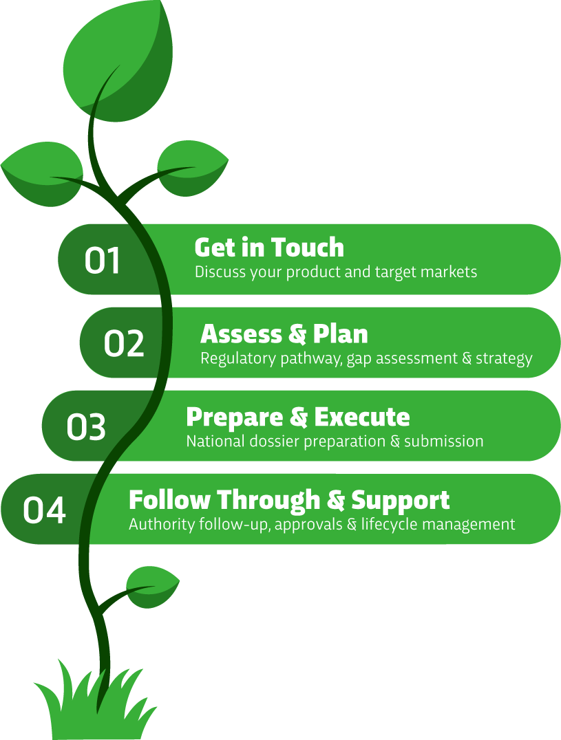 How it works: Get in Touch, Assess & Plan, Prepare & Execute, Follow Through & Support